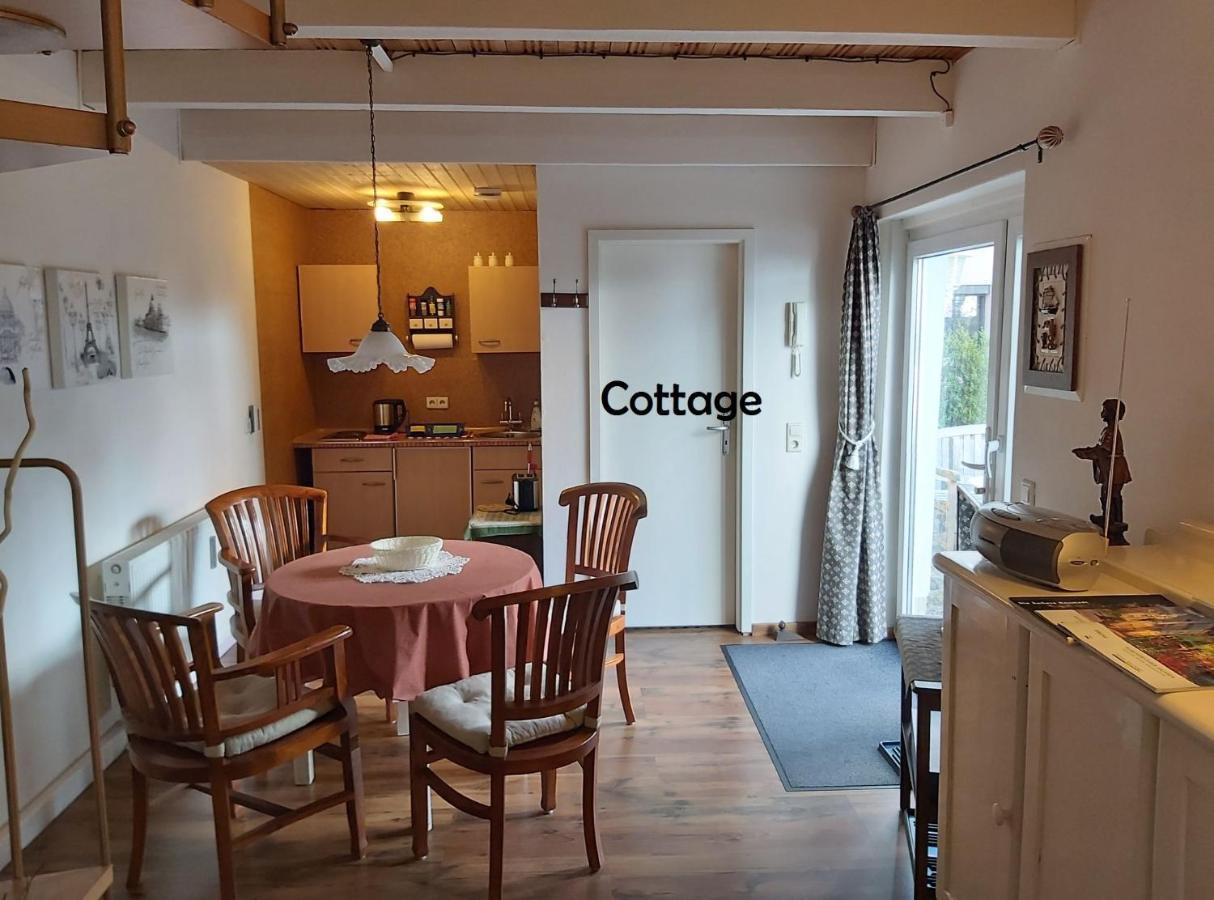 City-Ferienwohnungen-Dresden - Zentral Gelegen Im Haus Louisenstrasse 11 - Dresden-Neustadt Kültér fotó